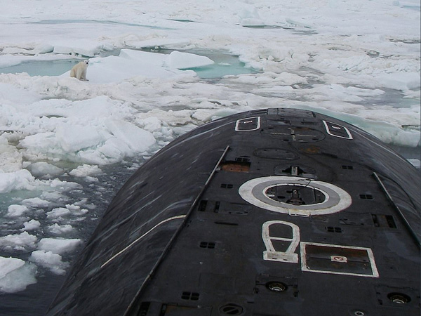 俄潜艇浮出海面倾倒垃圾偶遇北极熊攀爬觅食