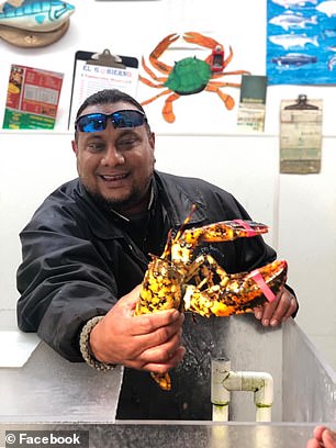 美海鲜商贩发现极珍稀斑纹龙虾转赠水族馆
