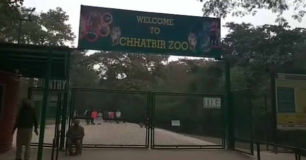 印男子翻进动物园围栏被两只狮子咬伤致死