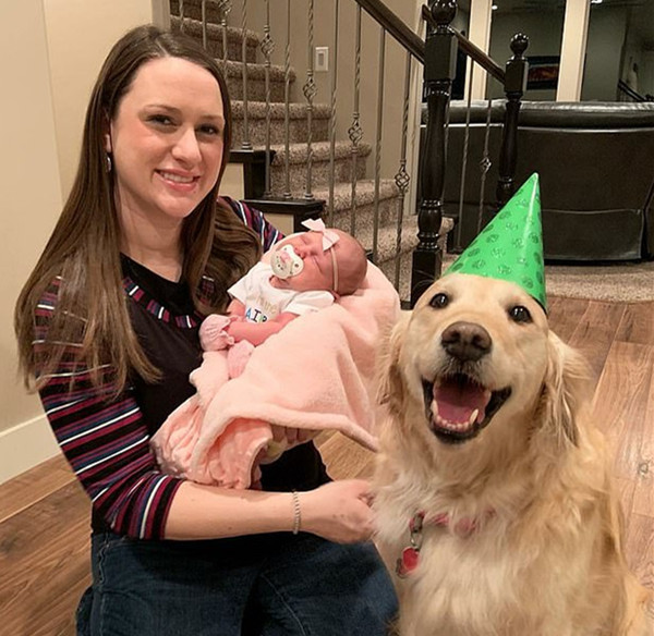 超有爱！美金毛初见小主人舔其脸颊围着撒欢