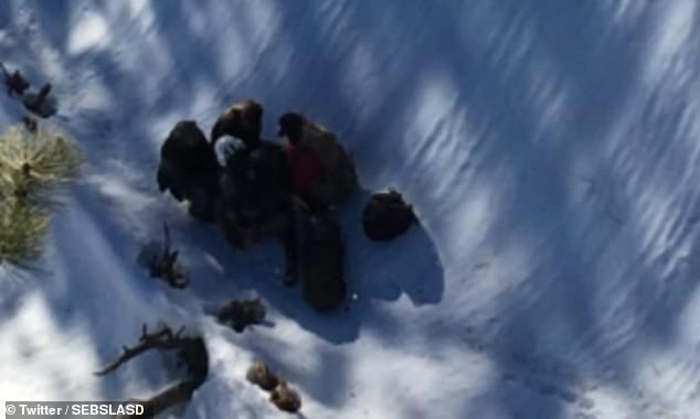 美夫妇山区露营遭遇暴雪被困两周后终获救