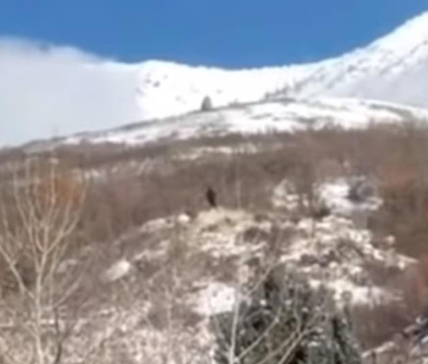 美犹他州男子山上拍到移动黑影 称很可能是大足野人
