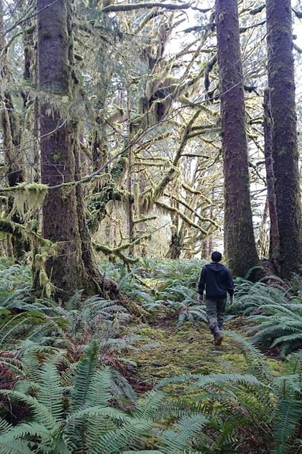 美公务员辞职住进林中小木屋 称签字盖章工作小儿科