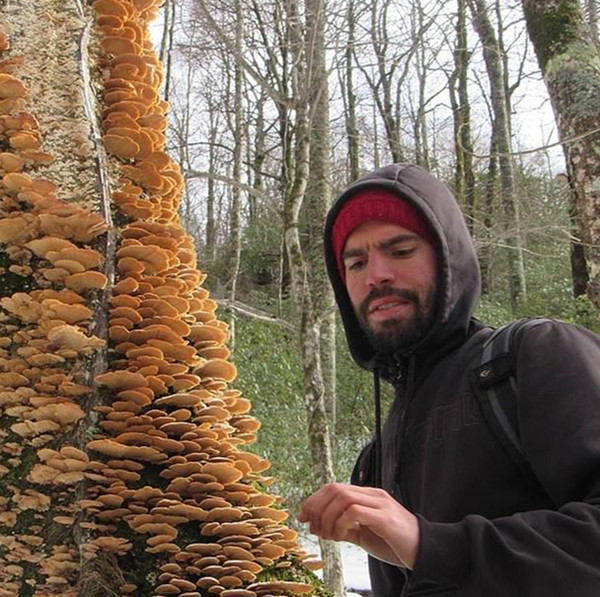 美公务员辞职住进林中小木屋 称签字盖章工作小儿科