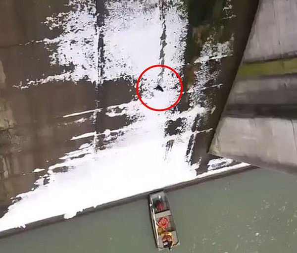惊险一幕！被困猫咪滑下27米高坝被救援人员接住