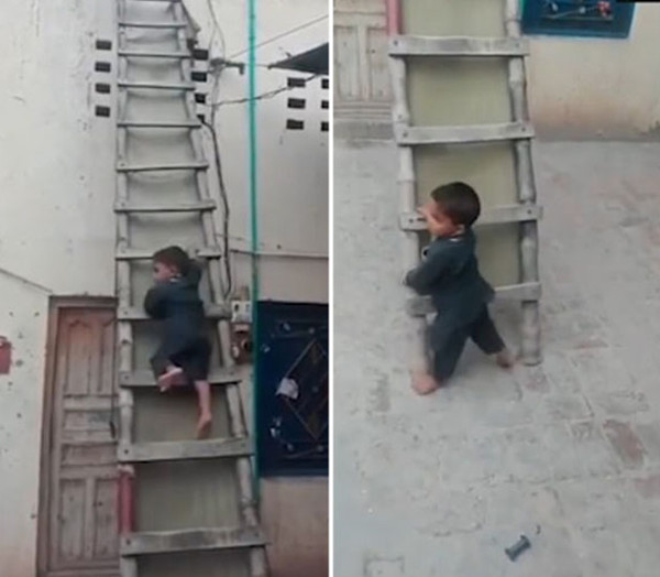 3岁男童从近4米高竹梯滑下后若无其事走开