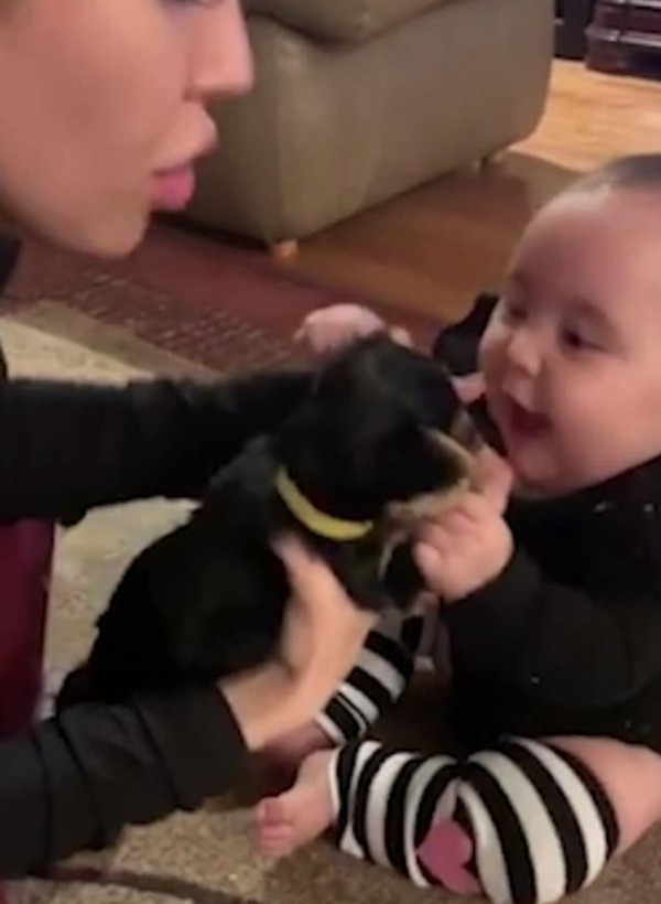 萌爆！ 八个月大宝宝见到狗狗后难掩兴奋伸手要抱