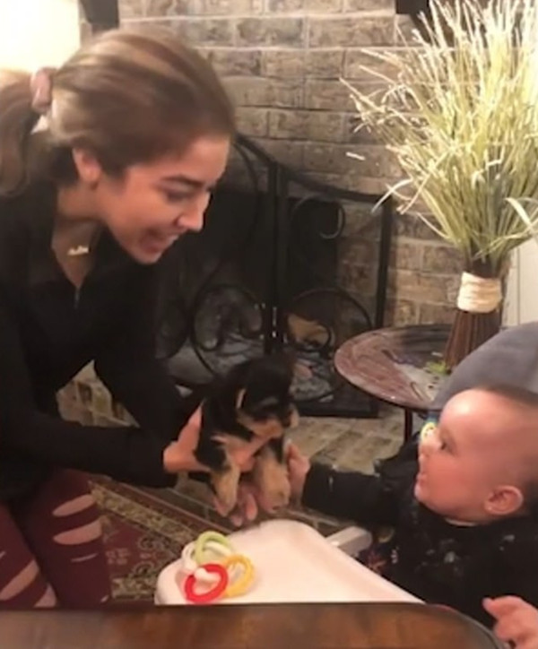 萌爆！ 八个月大宝宝见到狗狗后难掩兴奋伸手要抱