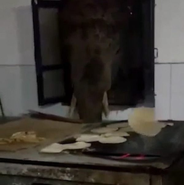 闻起来好香！印度一饥饿大象偷袭厨房制造混乱
