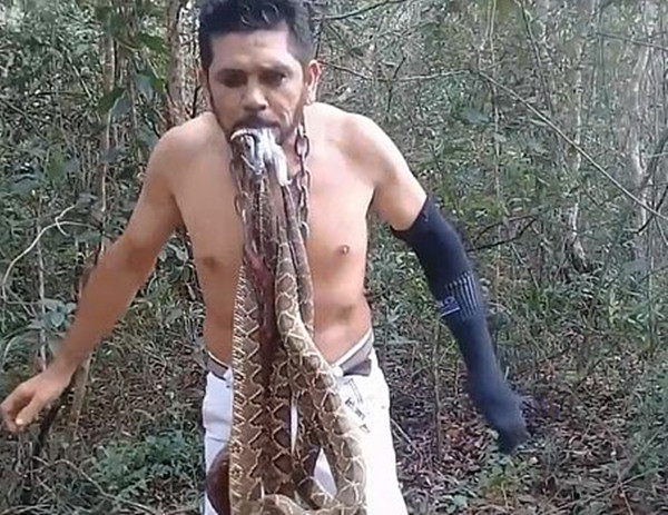 巴西环保人士咬6条响尾蛇抗议亚马逊森林遭砍伐