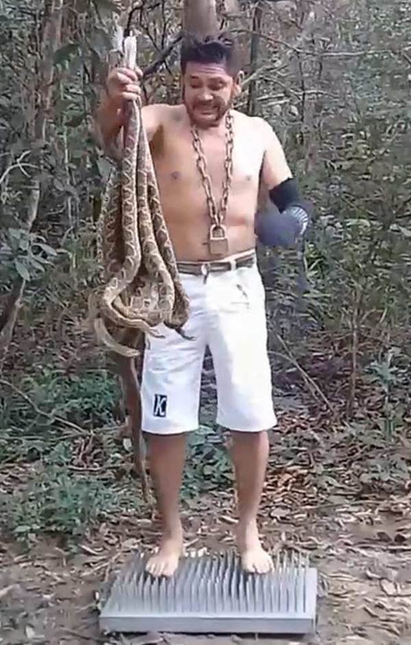 巴西环保人士咬6条响尾蛇抗议亚马逊森林遭砍伐