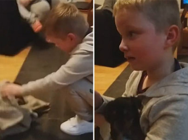 惊喜一刻：英自闭症男孩得到一只小狗后喜极而泣