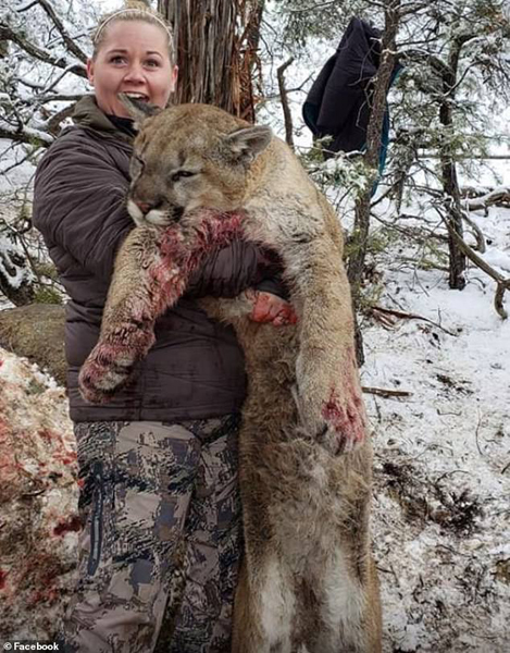 美国女猎人合法狩猎美洲狮 晒血腥合照引众怒