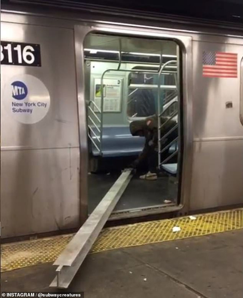 奇葩！美国纽约一男子带9米长金属梁乘坐地铁