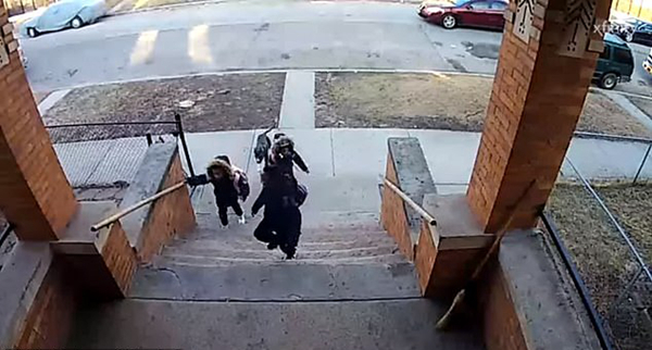 美少年持扫帚击退扑咬堂弟恶狗