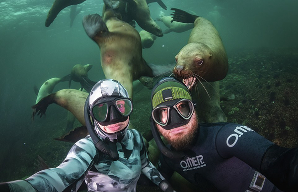 荷兰夫妇加拿大海域潜水被海狮群当成玩具围绕