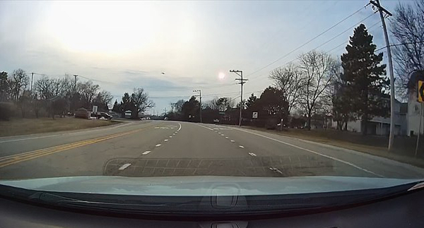 不幸！美国一野鹅飞行途中触碰电线燃成火球