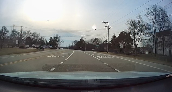 不幸！美国一野鹅飞行途中触碰电线燃成火球