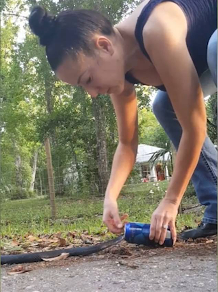 “贪杯”蛇脑袋被卡啤酒罐 好心女子放胆施救