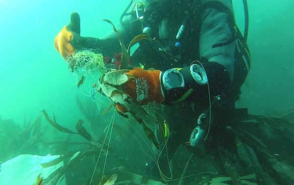 环保卫士！英首个水下保洁队潜入海洋清理垃圾