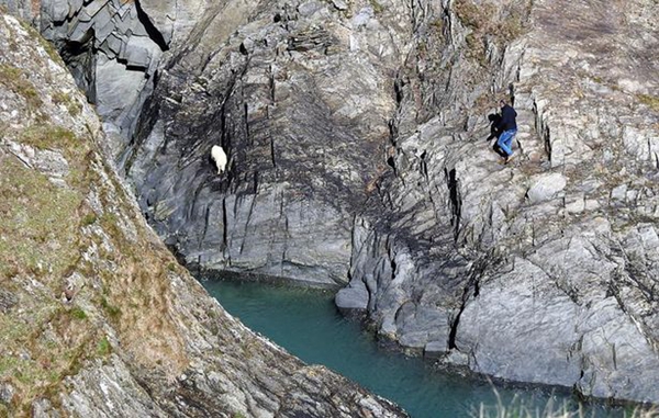 英男子悬崖涉险救山羊 海岸警卫队表示不值得