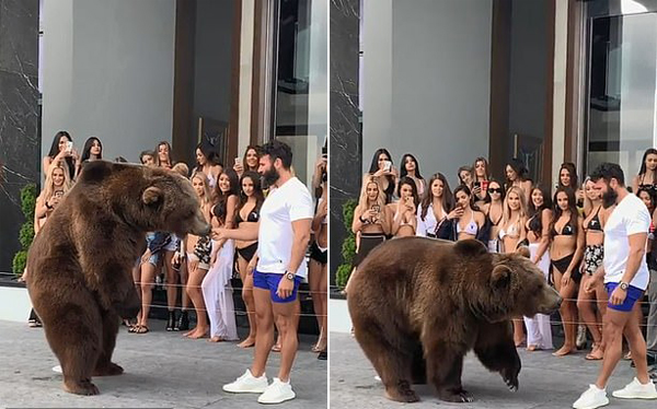 美一富豪派对上当众美女喂大棕熊遭众网友谴责