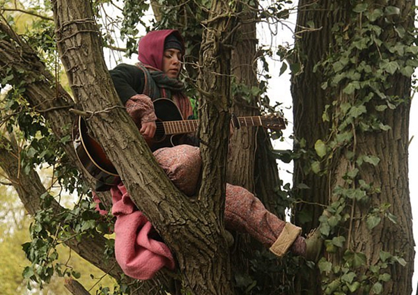 英环保人士树上露营上演“死亡”活动抗议砍树