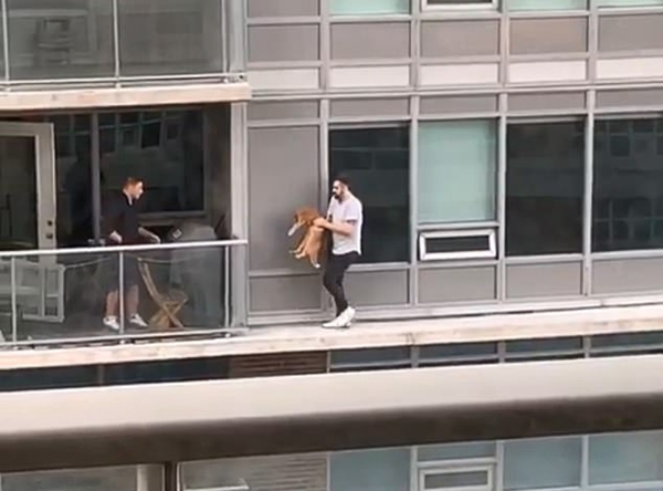惊险！主人为救猫公寓楼外狭窄平台上铤而走险