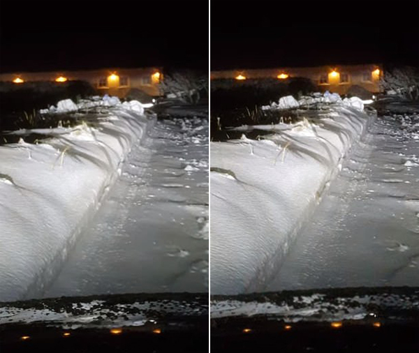 丹麦一司机夜拍小老鼠艰难横穿积雪覆盖马路