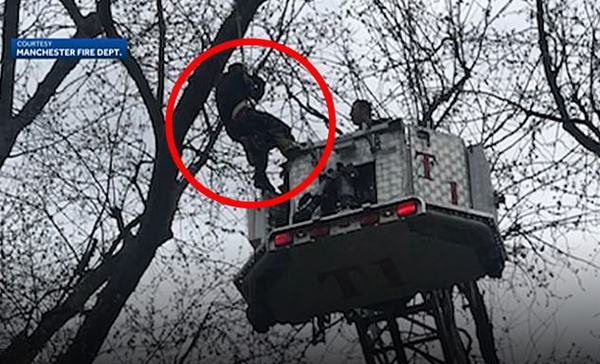 美国一男子为找无人机被卡树上幸得消防员救助
