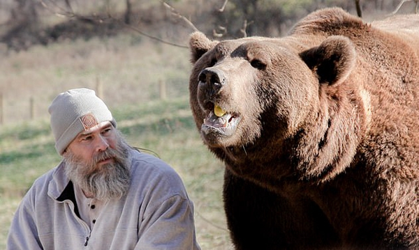 美国一养熊人讲述养熊经历 称它们不是宠物