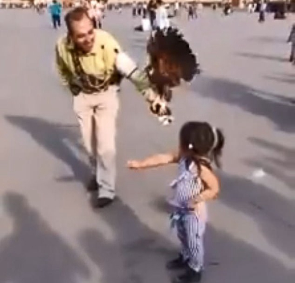 墨西哥女孩被老鹰执着追逐站在头顶 惊恐大哭