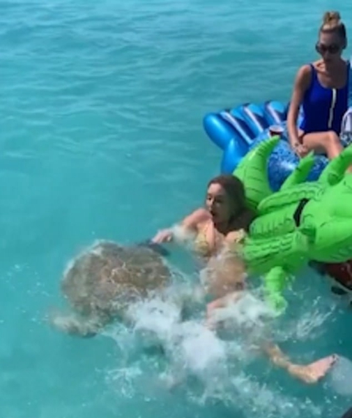 巴哈马海域顽皮海龟咬坏充气床致女子惊慌落水