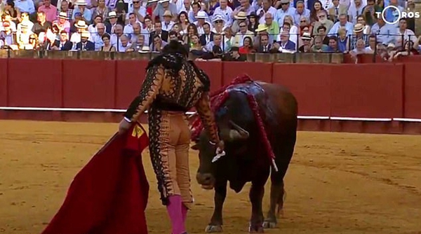 西班牙斗牛士为公牛拭泪后将其杀死引众人抨击