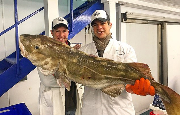 英国一渔夫捕获巨型章鱼 触角展开可达3米长