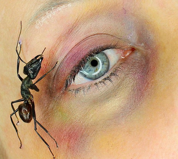 美一化妆师利用昆虫打造特殊妆容 惊人又惊悚