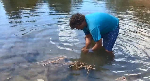 勇猛！澳男子为检验狩猎技能水中徒手抓鳄鱼