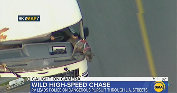 洛杉矶上演偷车女高速逃亡 狂撞6车终被抓获