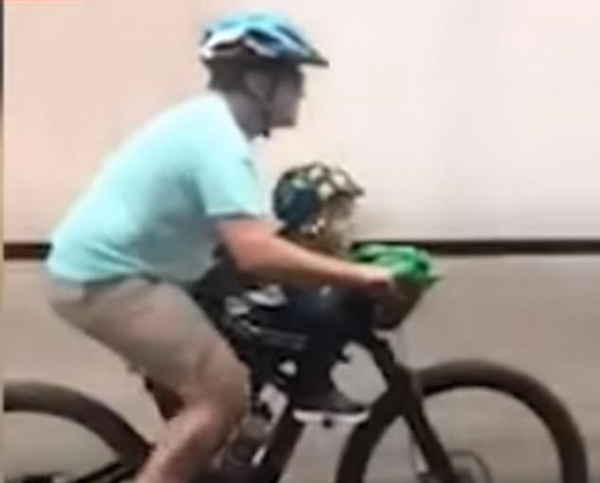 危险！澳大利亚一男子骑单车载娃违法穿行隧道