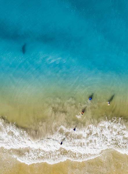 美摄影师海边玩无人机 拍到鲨鱼靠近孩子大声呼喊