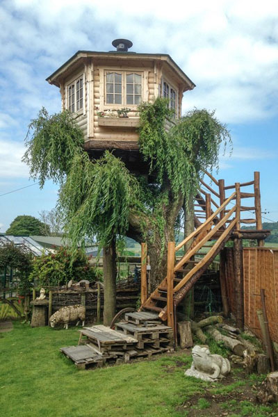 英老人花8000英镑建造完美树屋 景色迷人受当地人青睐