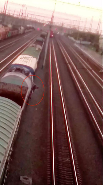 俄罗斯一少年爬上火车自拍触电 遭万伏高压击中幸存