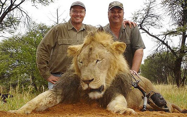残忍！加拿大夫妻猎杀狮子后拍照发到网上炫耀