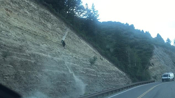 智利一黑熊多次试图爬上陡峭岩壁 屡屡失败落荒而逃