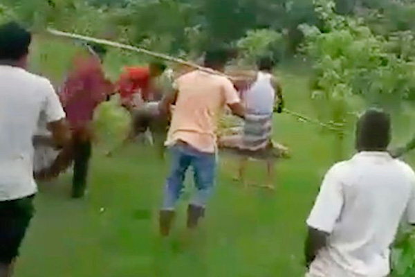 印度一老虎袭击村庄致10人受伤 被村民殴打致死