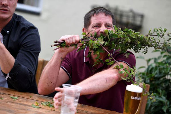 英国一男子“吃荨麻”锦标赛夺冠 吃下17.6米长荨麻