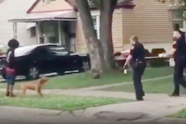 美国警方追捕中开枪射杀嫌犯宠物狗 遭到猛烈抨击