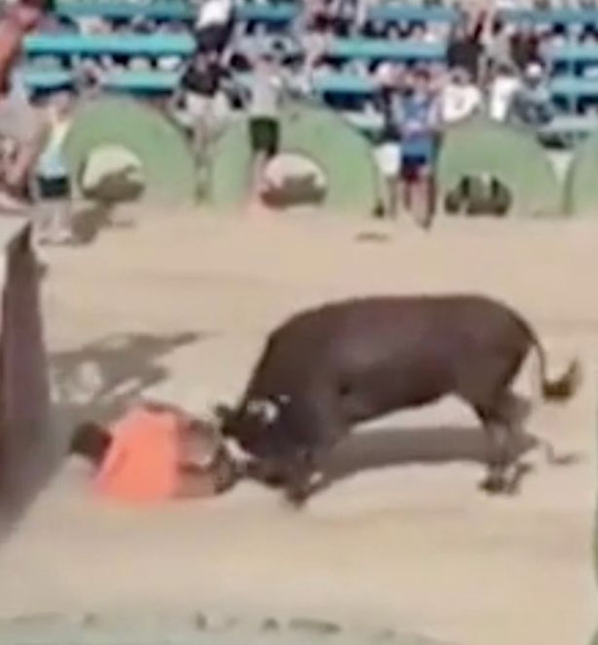 西班牙狂欢节上一男子被愤怒公牛刺伤致死