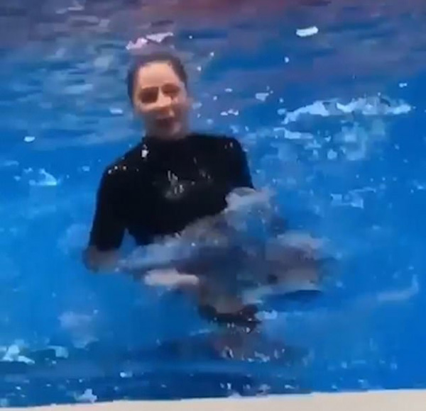 愤怒！迪拜海豚馆女训练员骑海豚被指责虐待