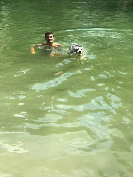 悲伤！美国4只宠物狗在受污染湖水中游泳后相继死亡